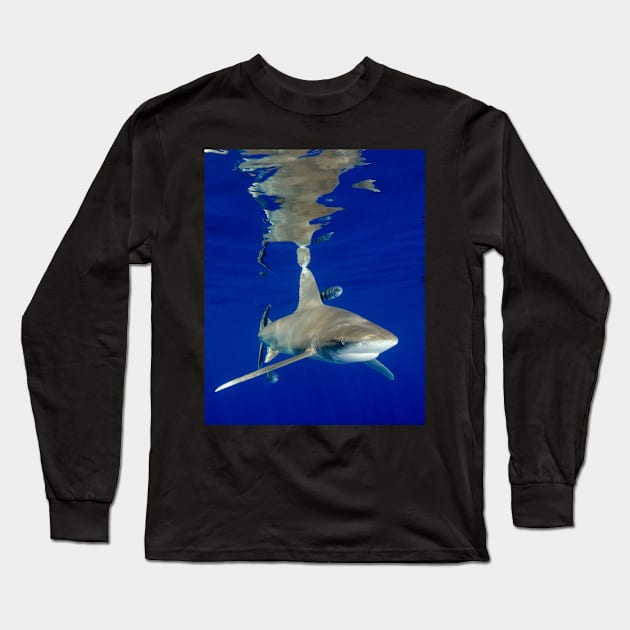 Oceanic White Tip Shark and Surface Reflections Long Sleeve T-Shirt by jbbarnes